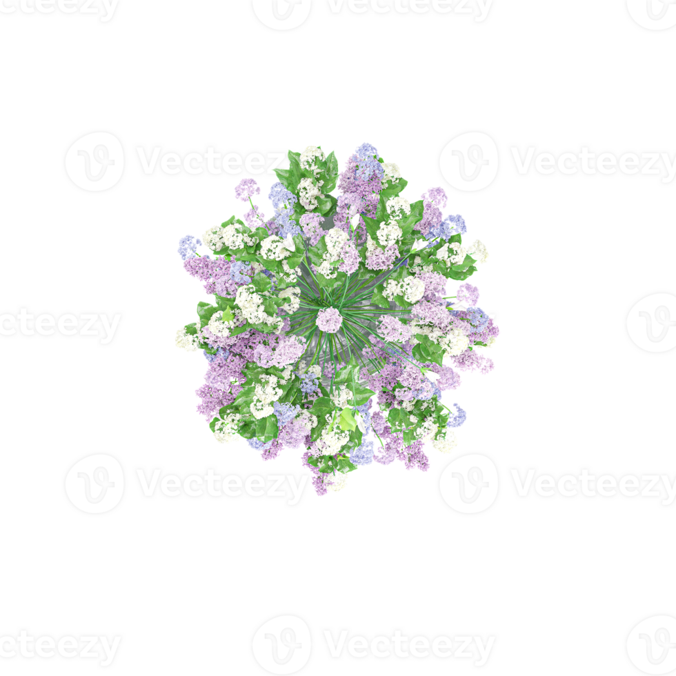 3d rendering of flowers and ornamental plants in pots isolated on Canvas from the top view png
