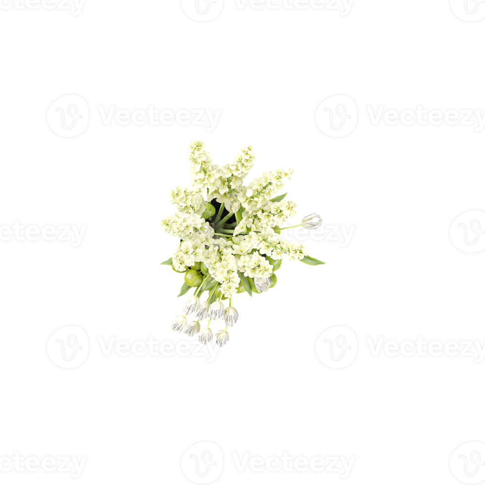 Chamomile flowers and ornamental plants in pots isolated on Canvas from top view png