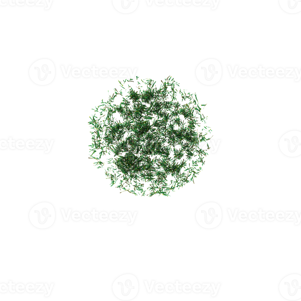 Collection of grass isolated on transparent Canvas from the top view png