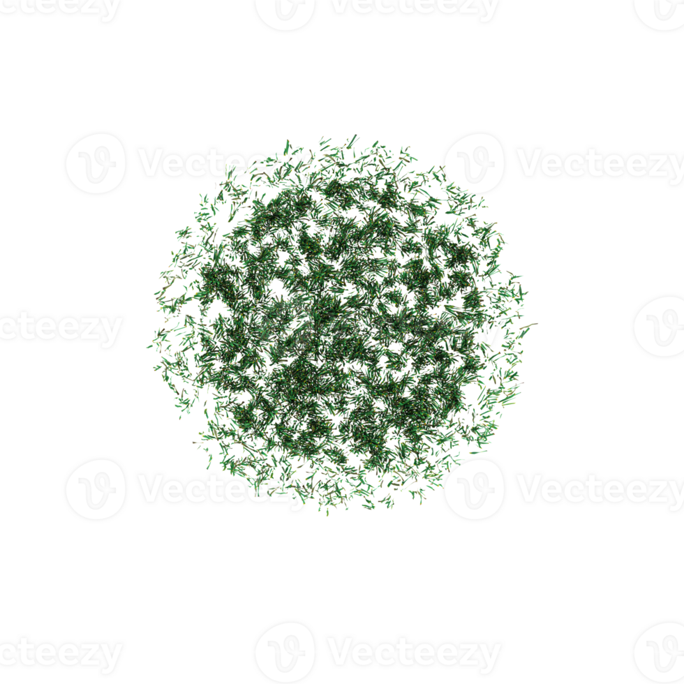 Fresh spring green grass panorama isolated on transparent Canvas from the top view png