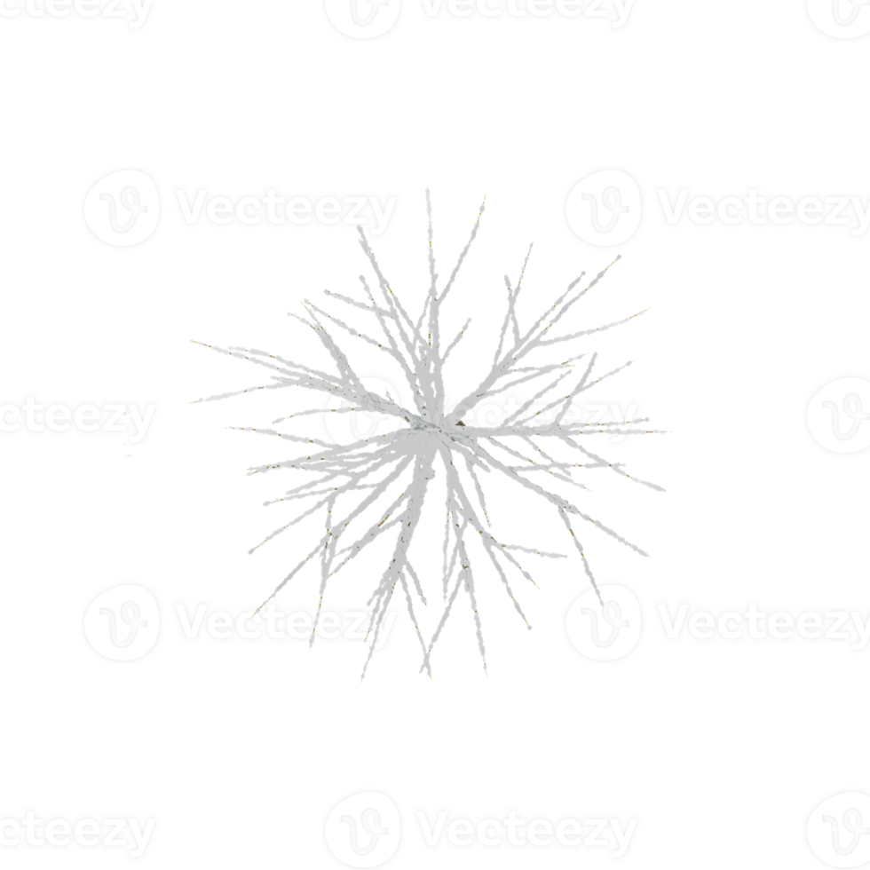 Trees Covered in Snows with transparent canvas from the top view png