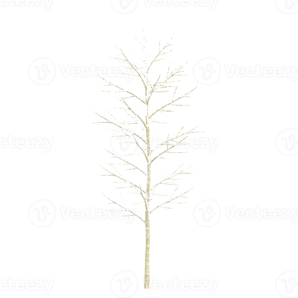 Dry Trees Covered in Snows with transparent canvas png