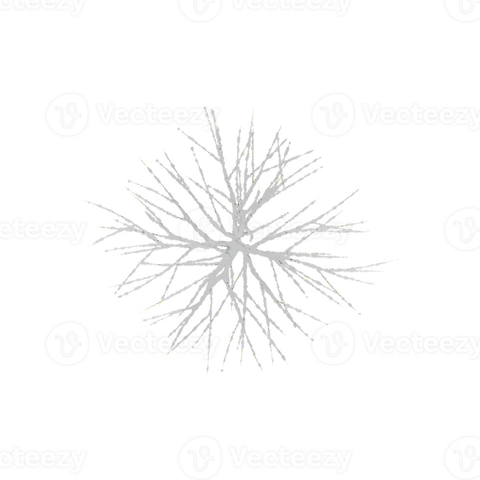 Christmas Trees Covered in Snows with transparent canvas from the top view png