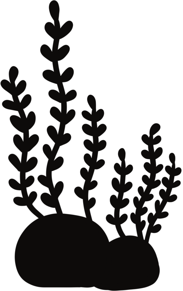 Black color elements, black seaweed png