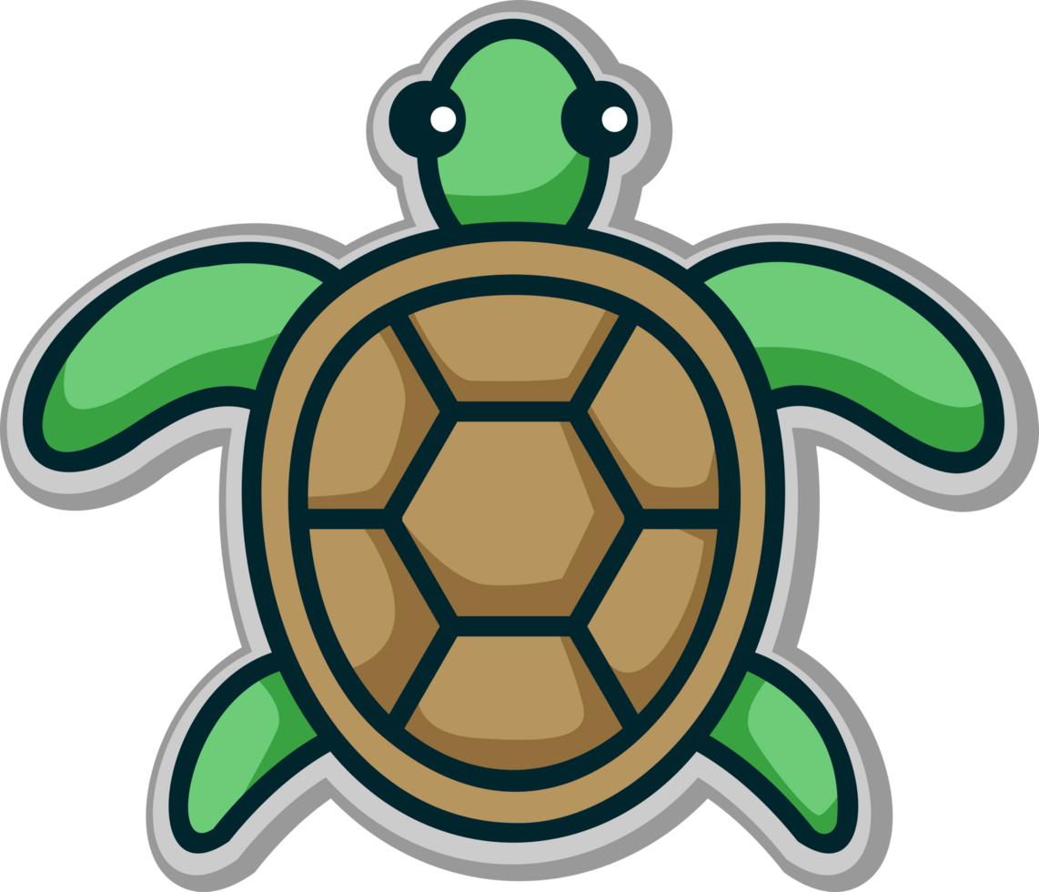 illustration of Cute green turtle png