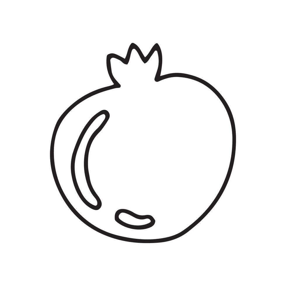Pomegranate in doodle style, illustration vector