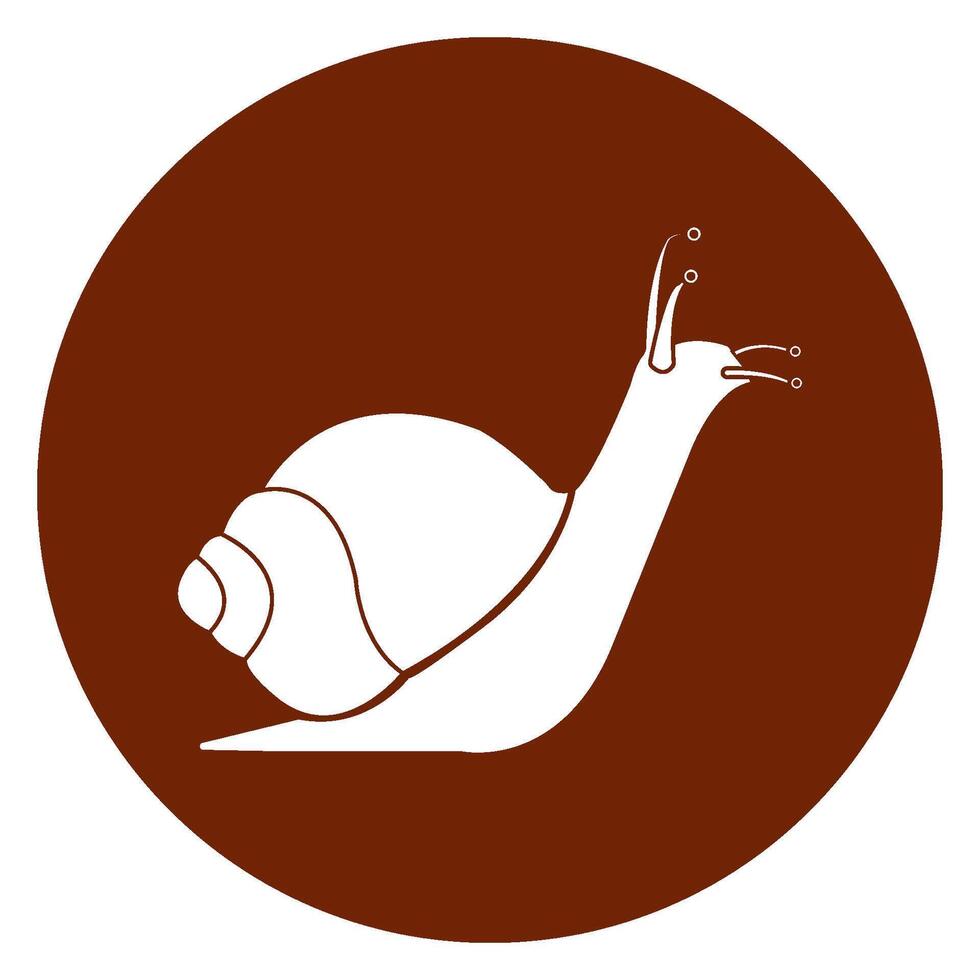 snail icon logo design vector
