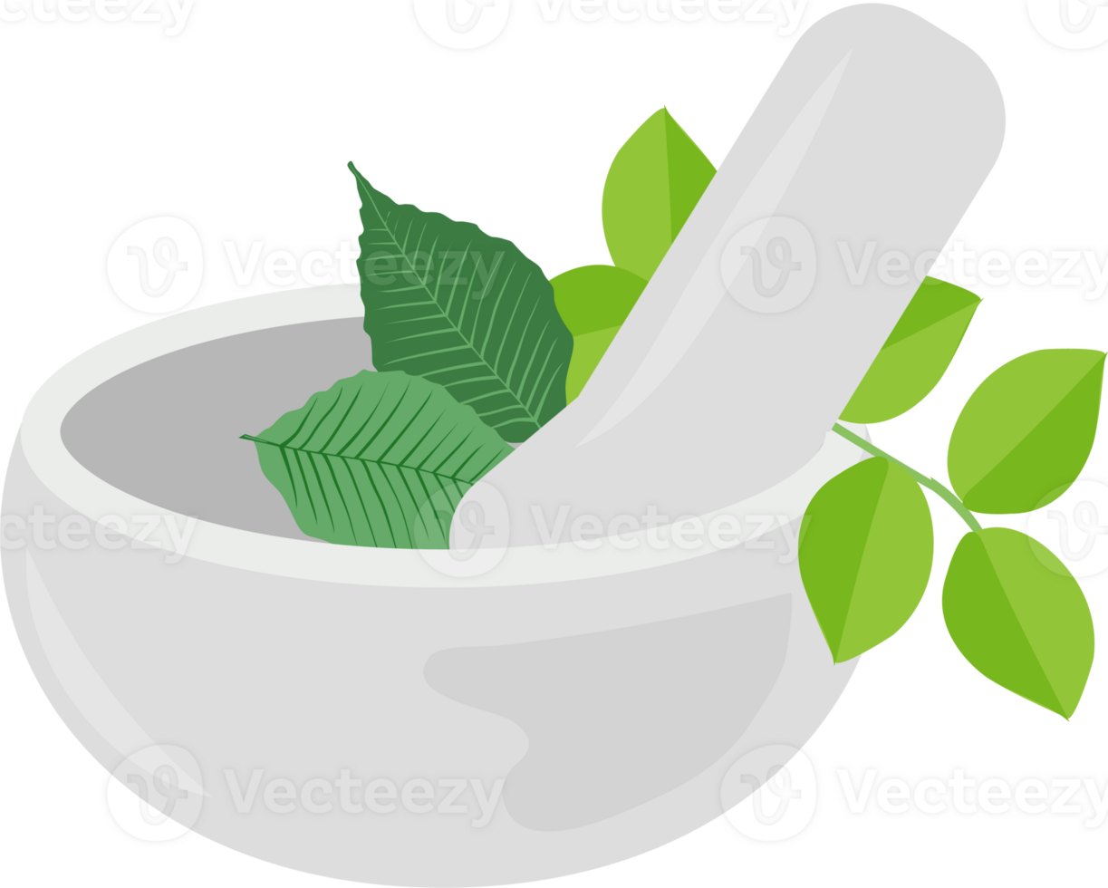 Nature herbal plant with bowl and mortar, Alternative medicine, treatment, healthcare concept. png