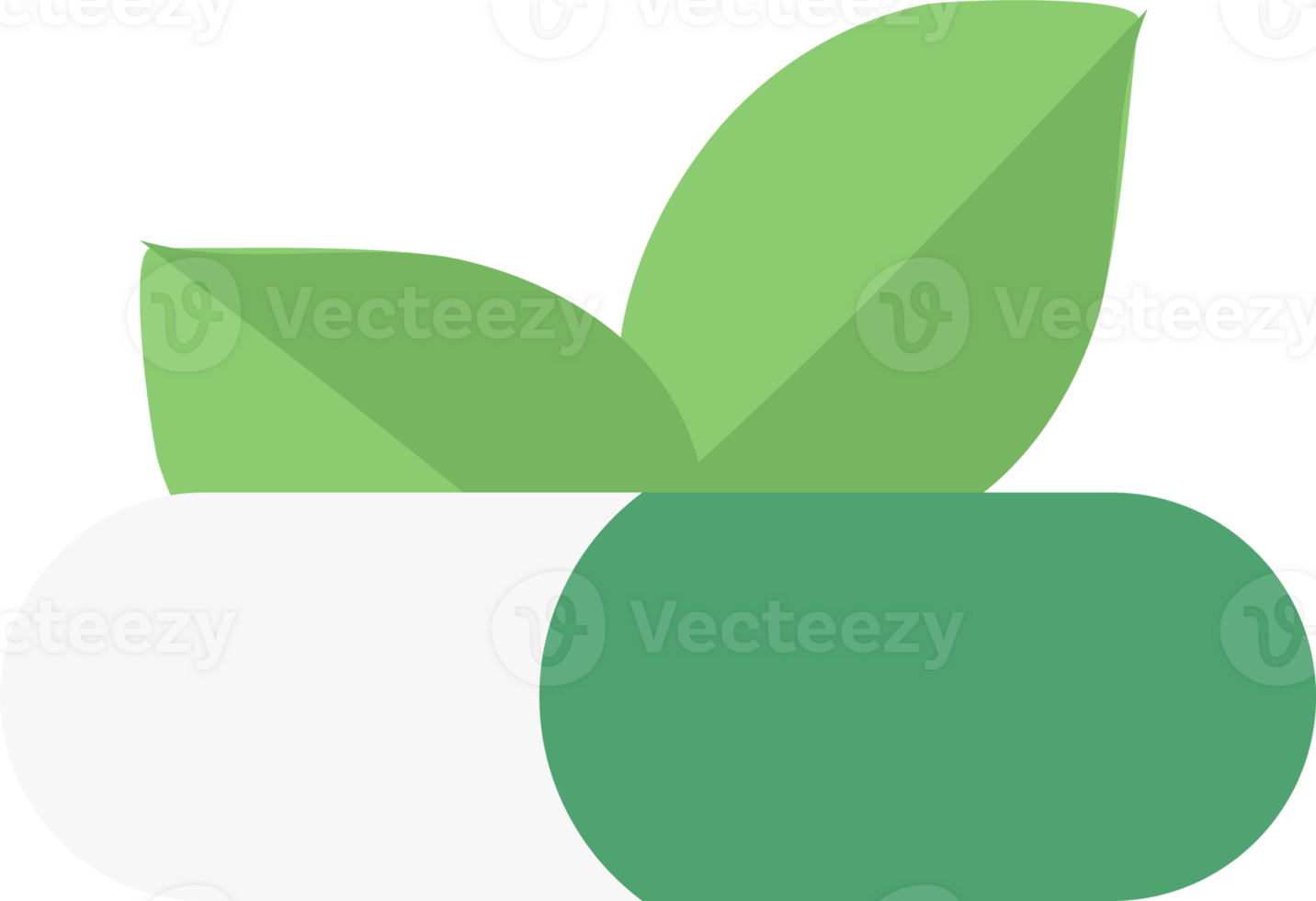 herbal and floral products or medical for therapy. png