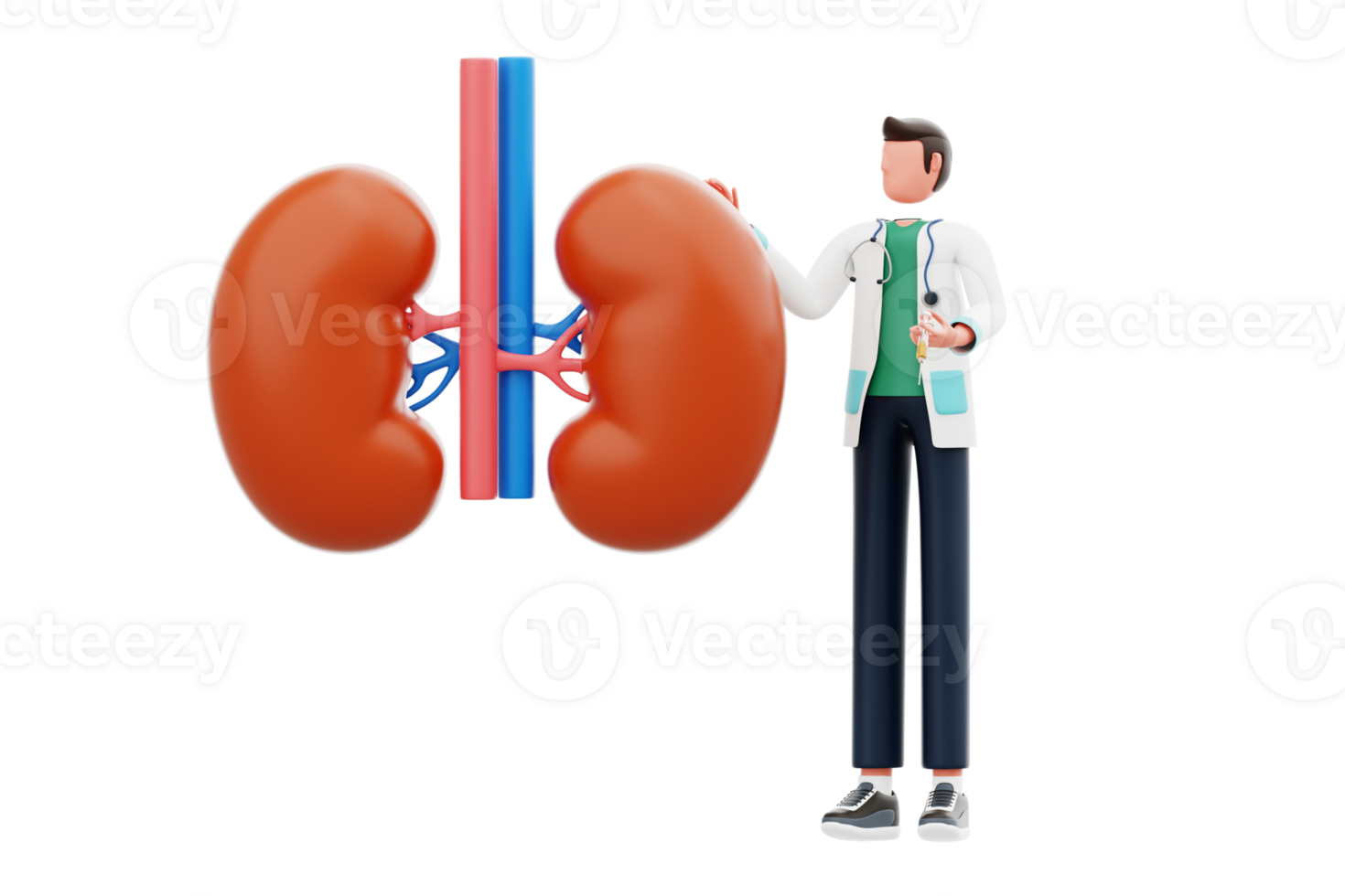 Kidney Specialist 3D Illustration. Pulmonologist explaining about kidney 3d illustration png