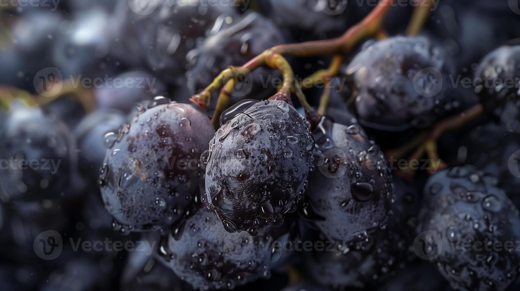 Dried grape fruit organic botanical harvesting healthy real food dehydrated photo