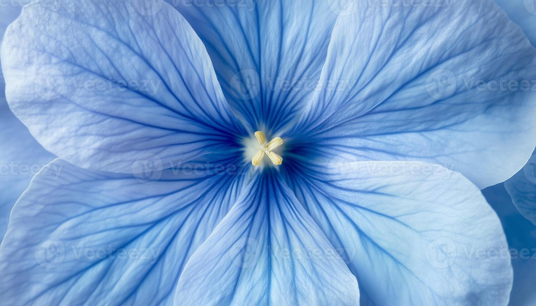 Blue flower extreme macro photo blooming botanical background