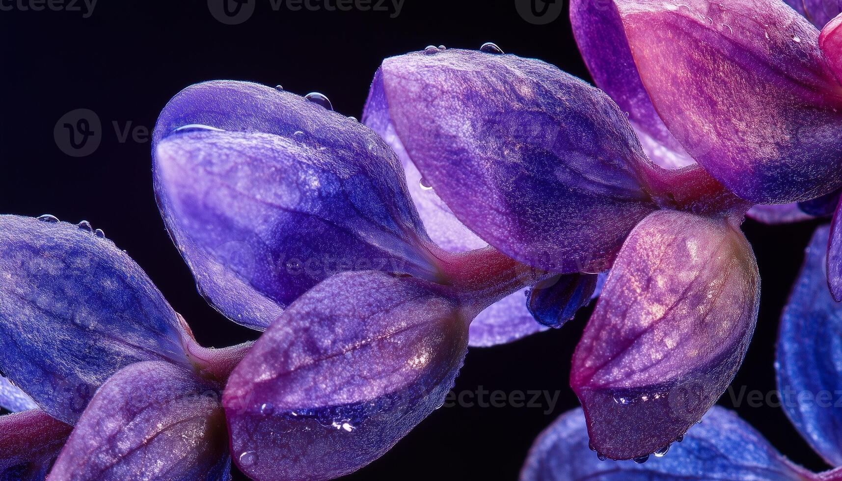 Wisteria flower extreme closeup macro photo detail foliage petal surface