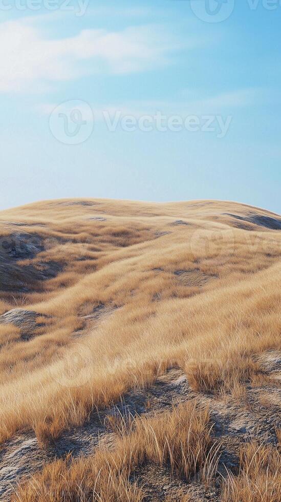 Dried grass on hill and blue-sky view with clouds nature environment photo