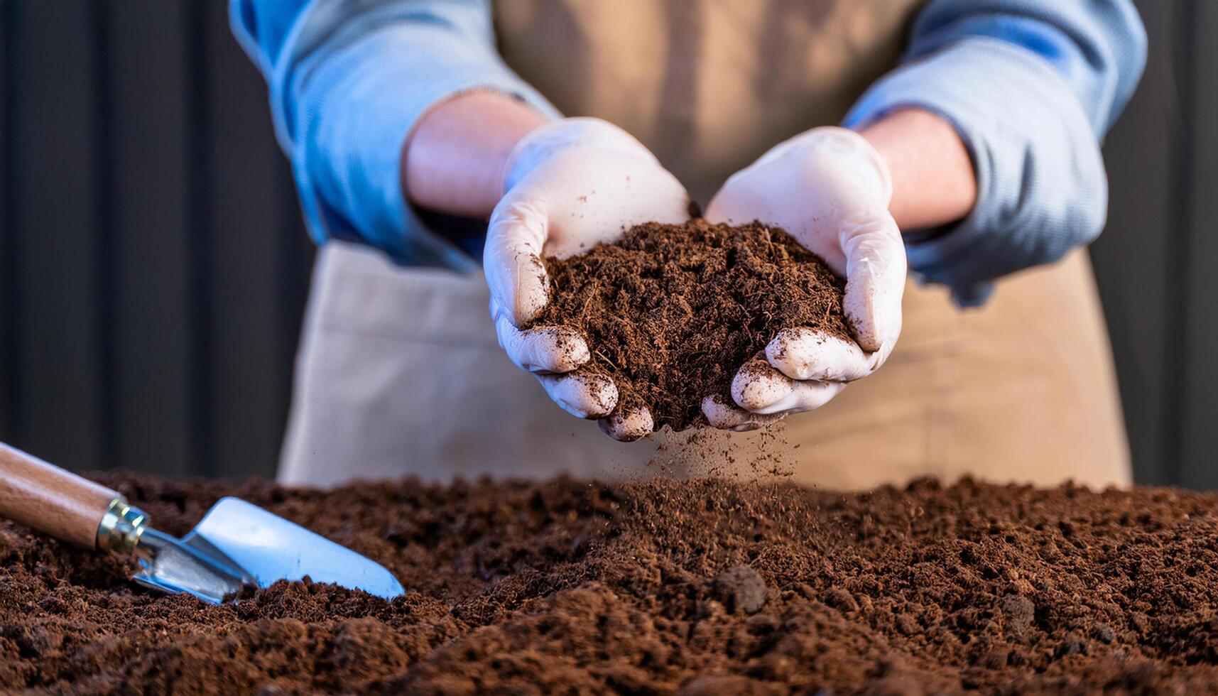 Agronomist on a farm practicing agronomy holding soil, doing soil tests in her home laboratory. Looking at soil life and health and compost. photo