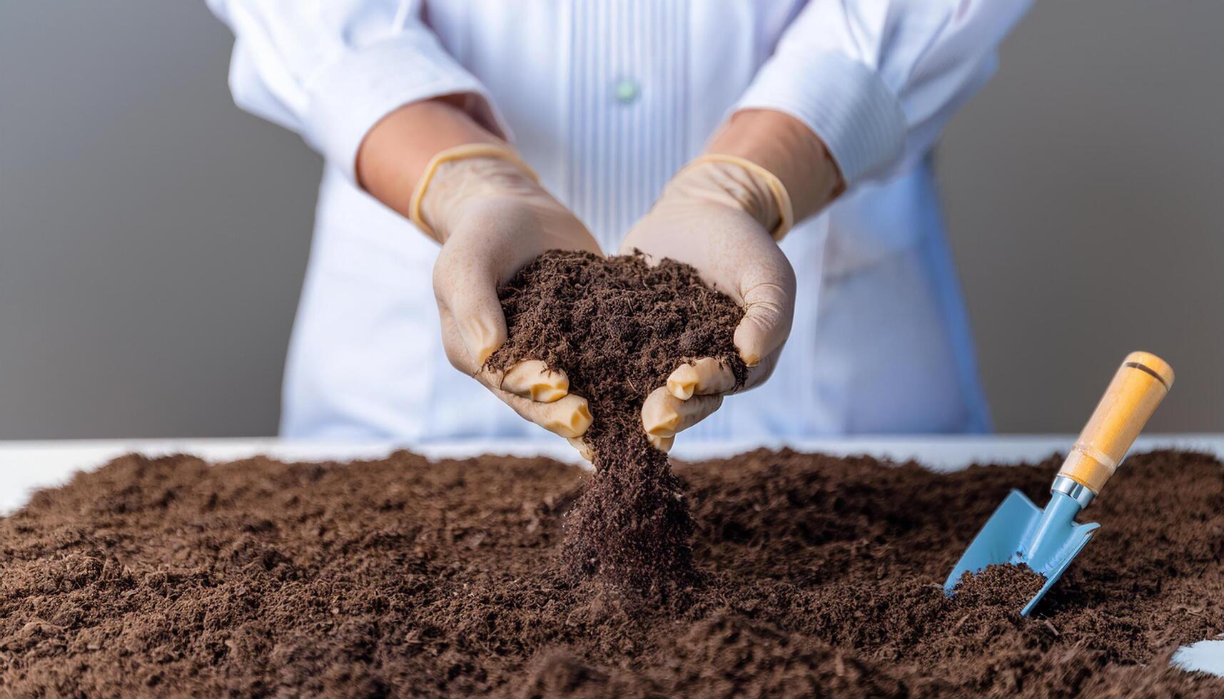 Agronomist on a farm practicing agronomy holding soil, doing soil tests in her home laboratory. Looking at soil life and health and compost. photo