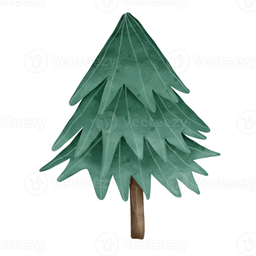 Cartoon watercolor Christmas tree png
