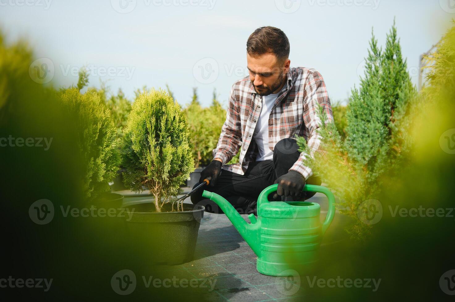 A young gardener cuts a tree with scissors. Gardening and tree shop concept photo