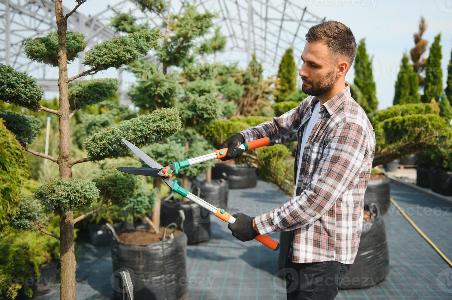 A young gardener cuts a tree with scissors. Gardening and tree shop concept photo