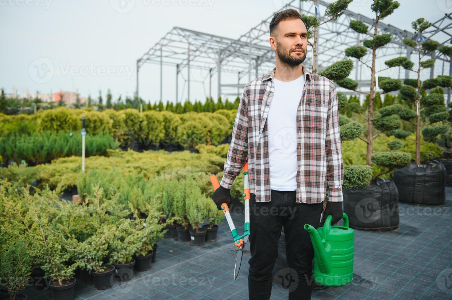 Gardener at work near sprouts of bushes and trees. Horticulture and sale of trees photo
