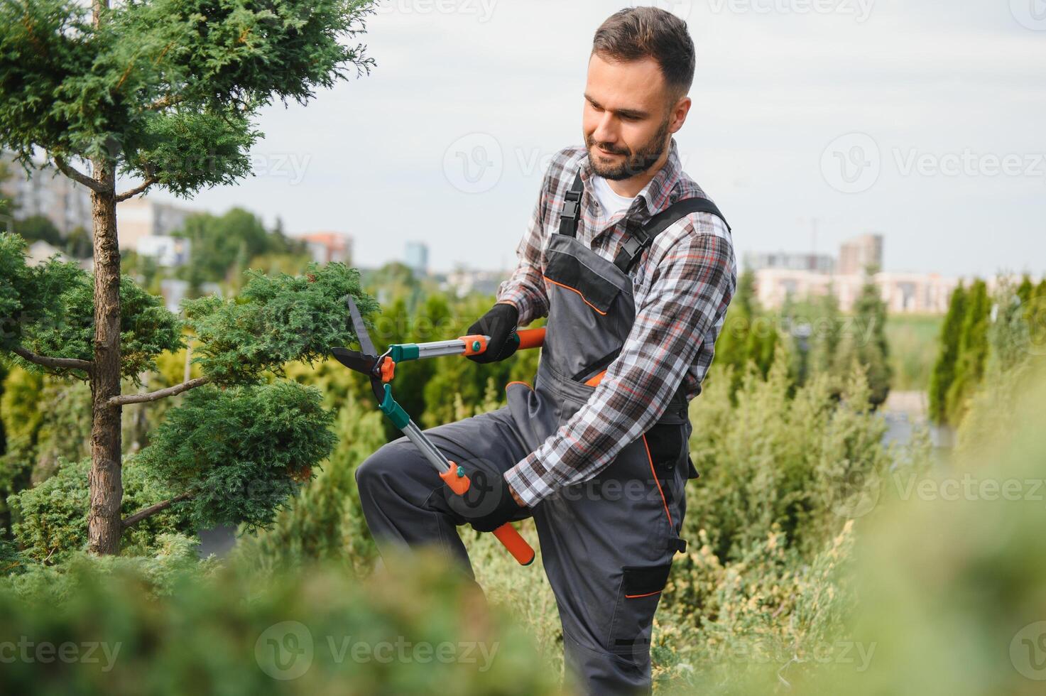 Garden worker trimming trees with scissors. garden shop photo