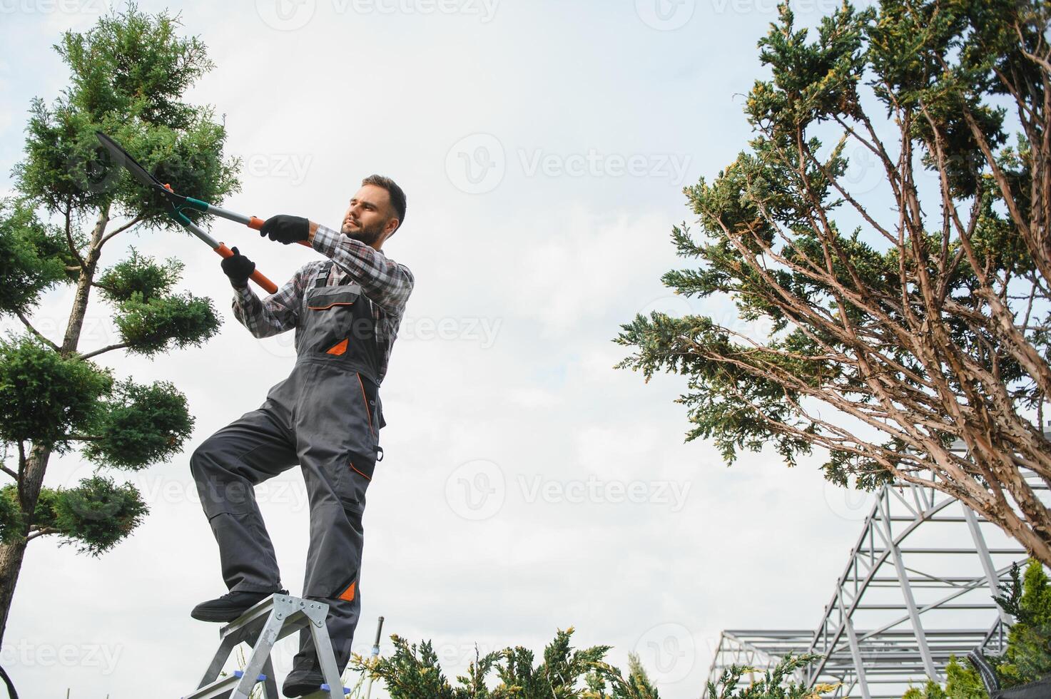 Garden worker trimming trees with scissors. garden shop photo