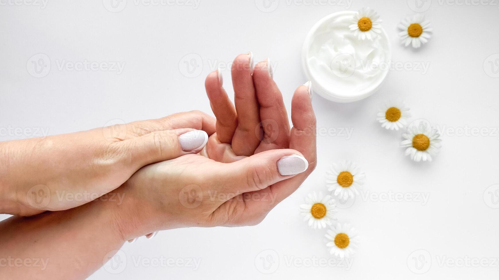 Close up of middle age woman hands applying cream with chamomile flowers and hand cream container on white background. Skincare and natural beauty concept. photo