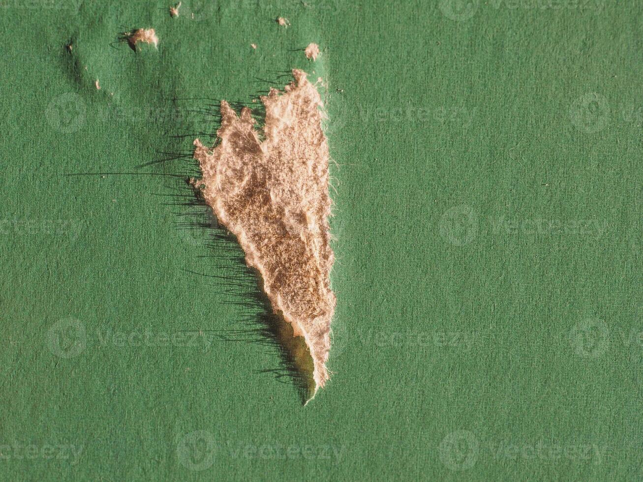 industrial style green cardboard texture background photo