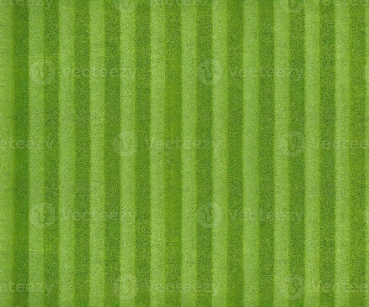 industrial style football field green grass texture background photo