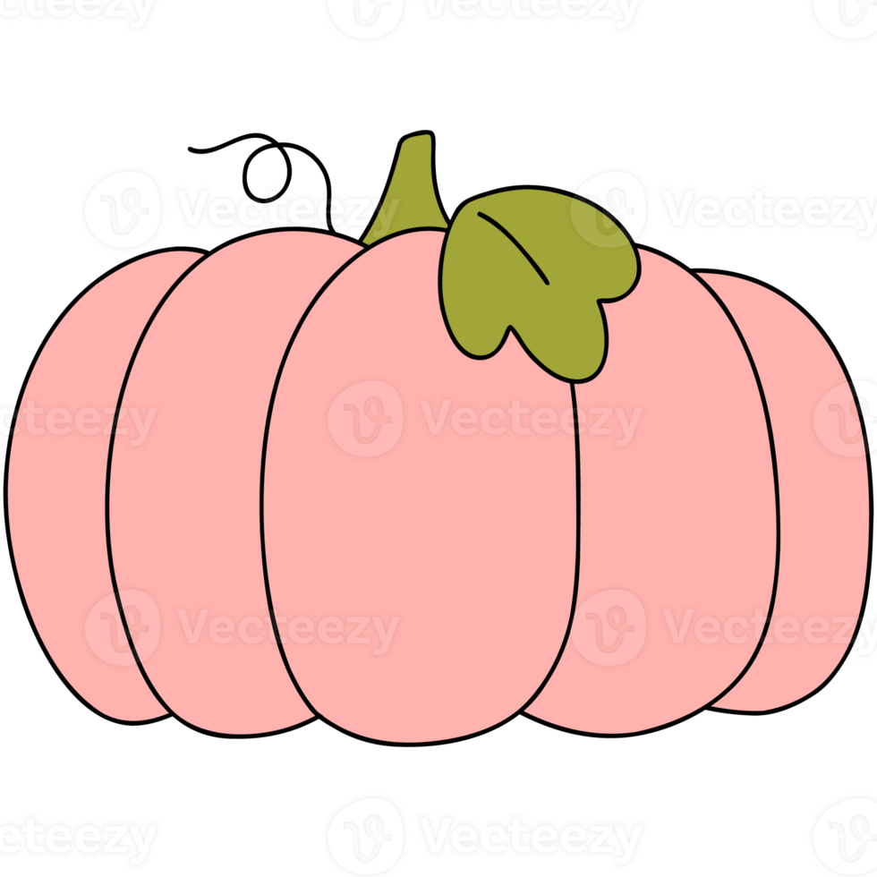 Pink pumpkin doodle png