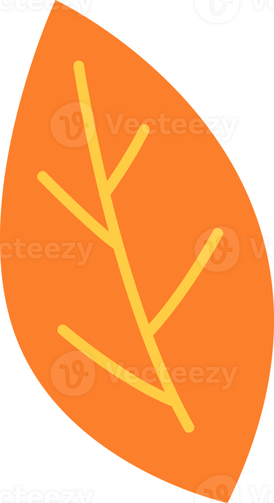 One orange leaf png