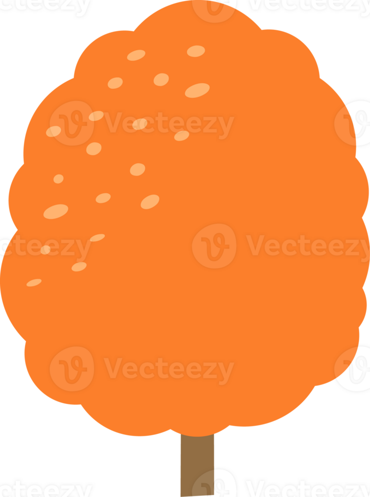 Orange tree of autumn png