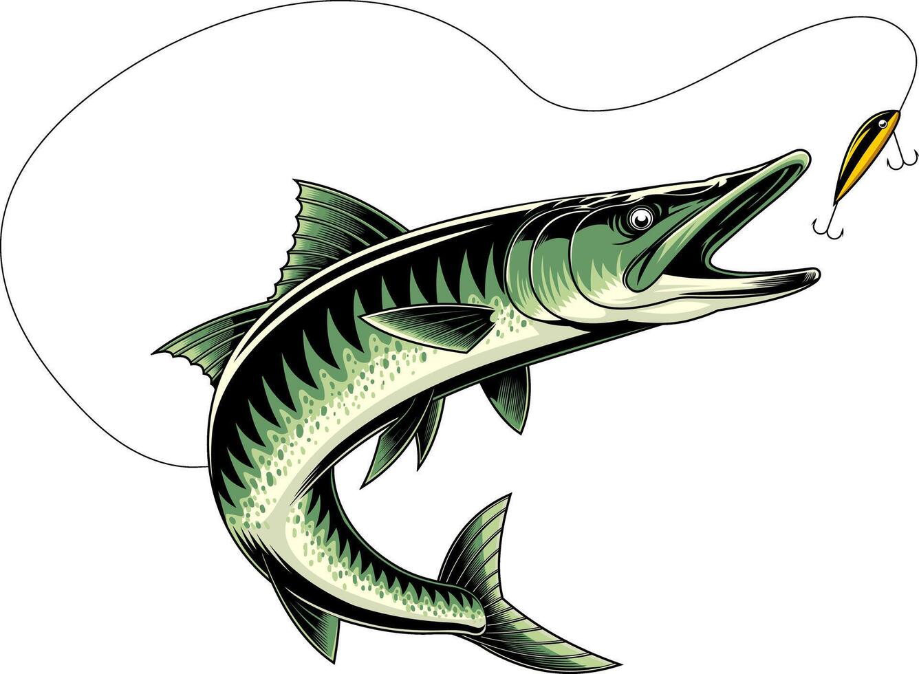 Barracuda Fish Catching The Fishing Lure Graphic Design vector