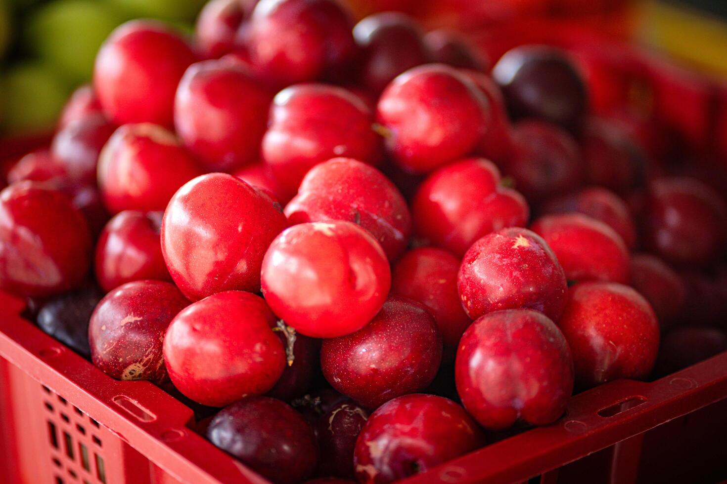 Ripe plums, fresh red plums in red basket at food market. photo