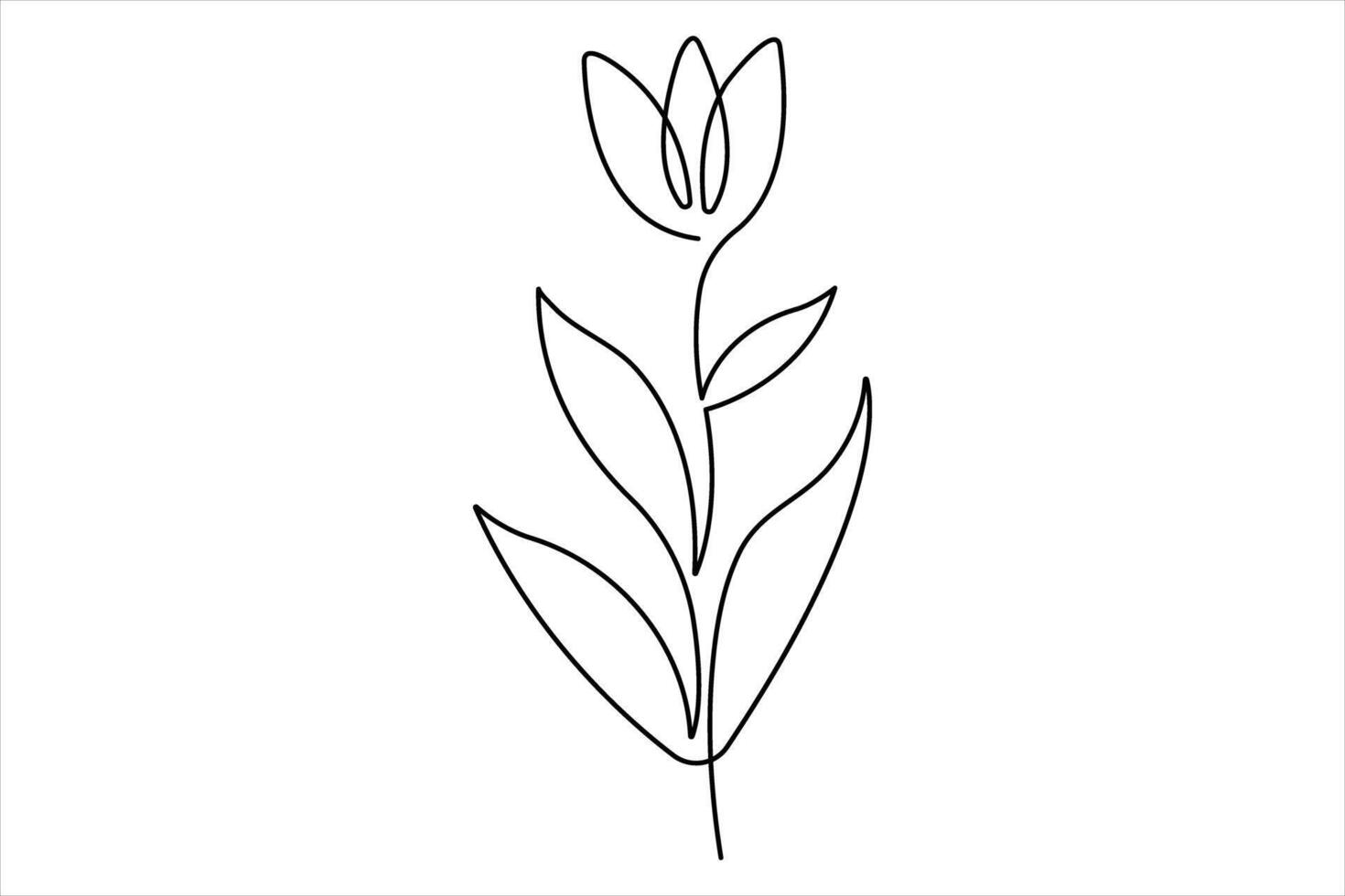 Continuous one line drawing of beauty tulip flower design tropical floral style, love romantic concept vector