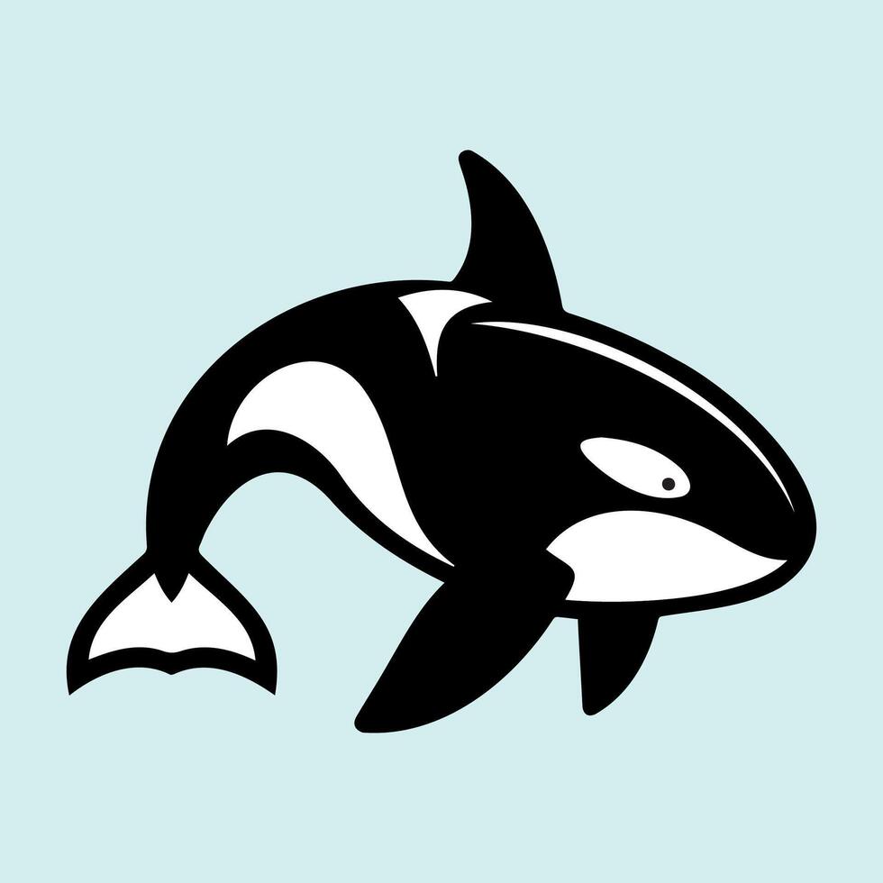 Orca Whale Illustration vector
