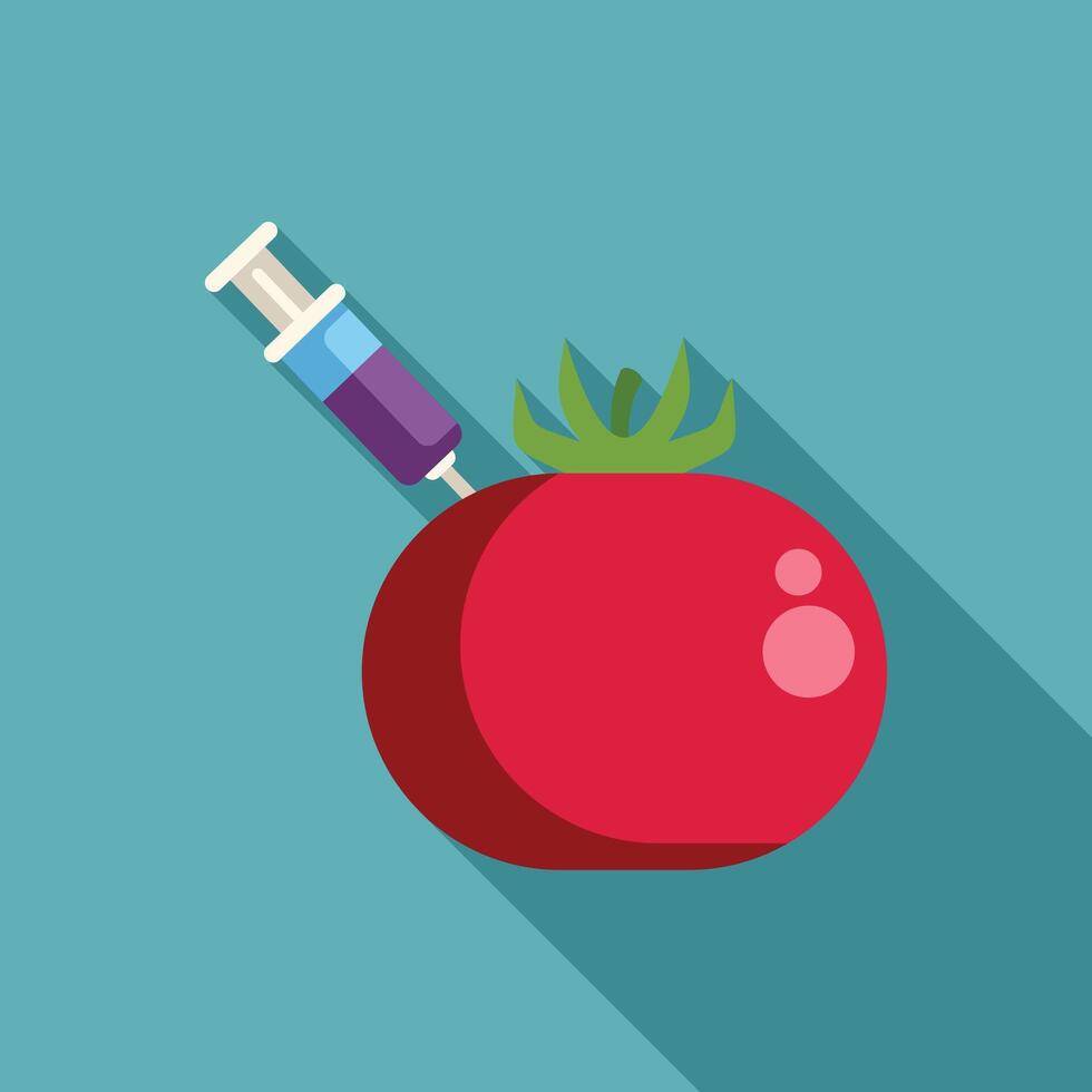 Syringe injecting red tomato with gmos or pesticides vector
