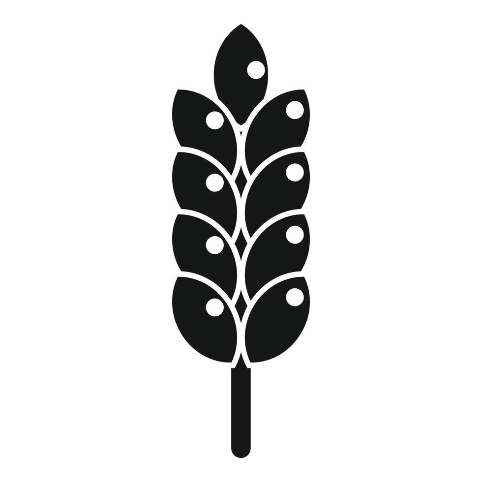 Black cereals spike for natural farm products showing agriculture and harvest vector