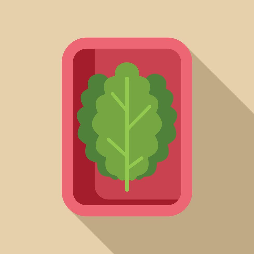 Fresh green lettuce leaf growing from garden potting soil in square planter vector