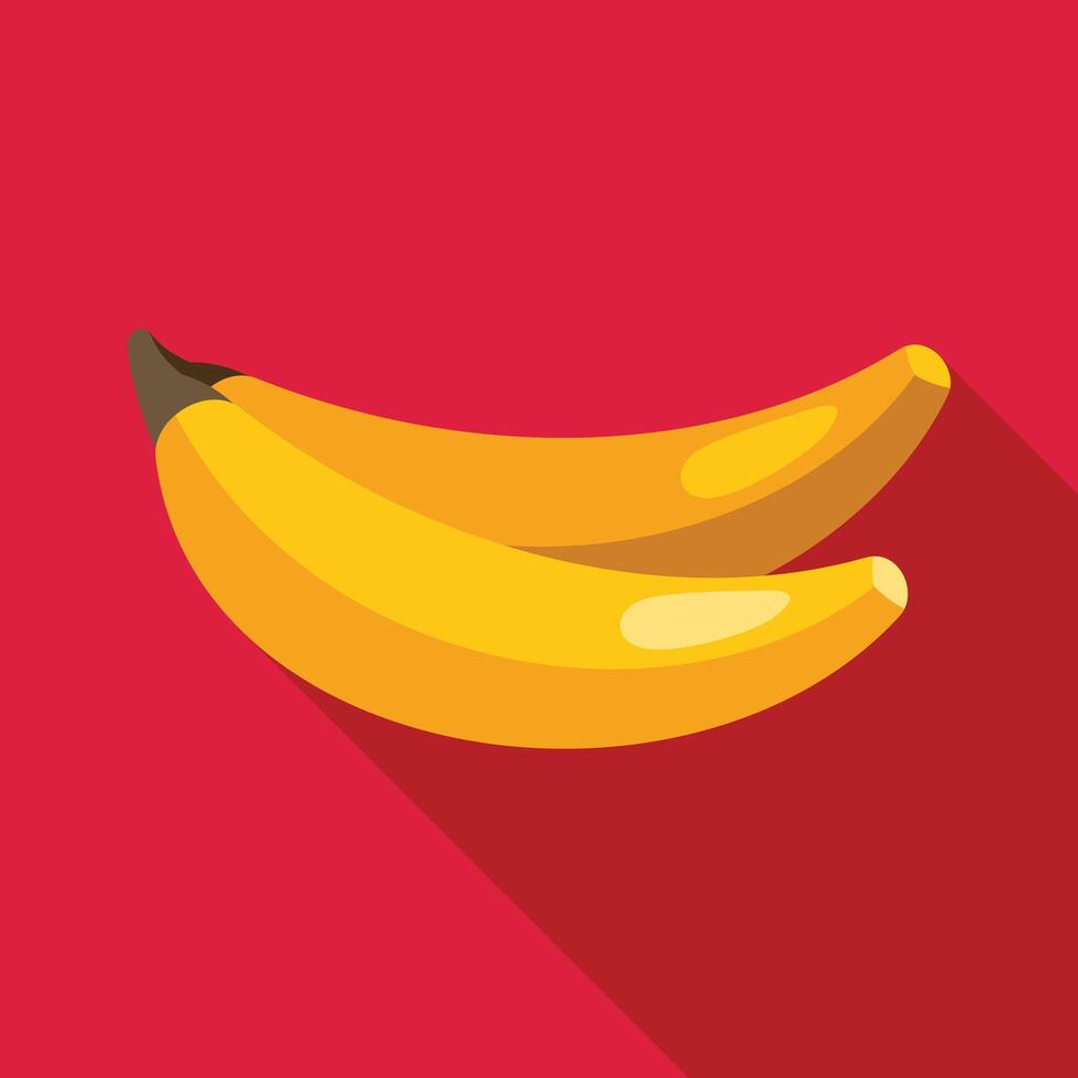 Two ripe bananas casting long shadow on red background vector