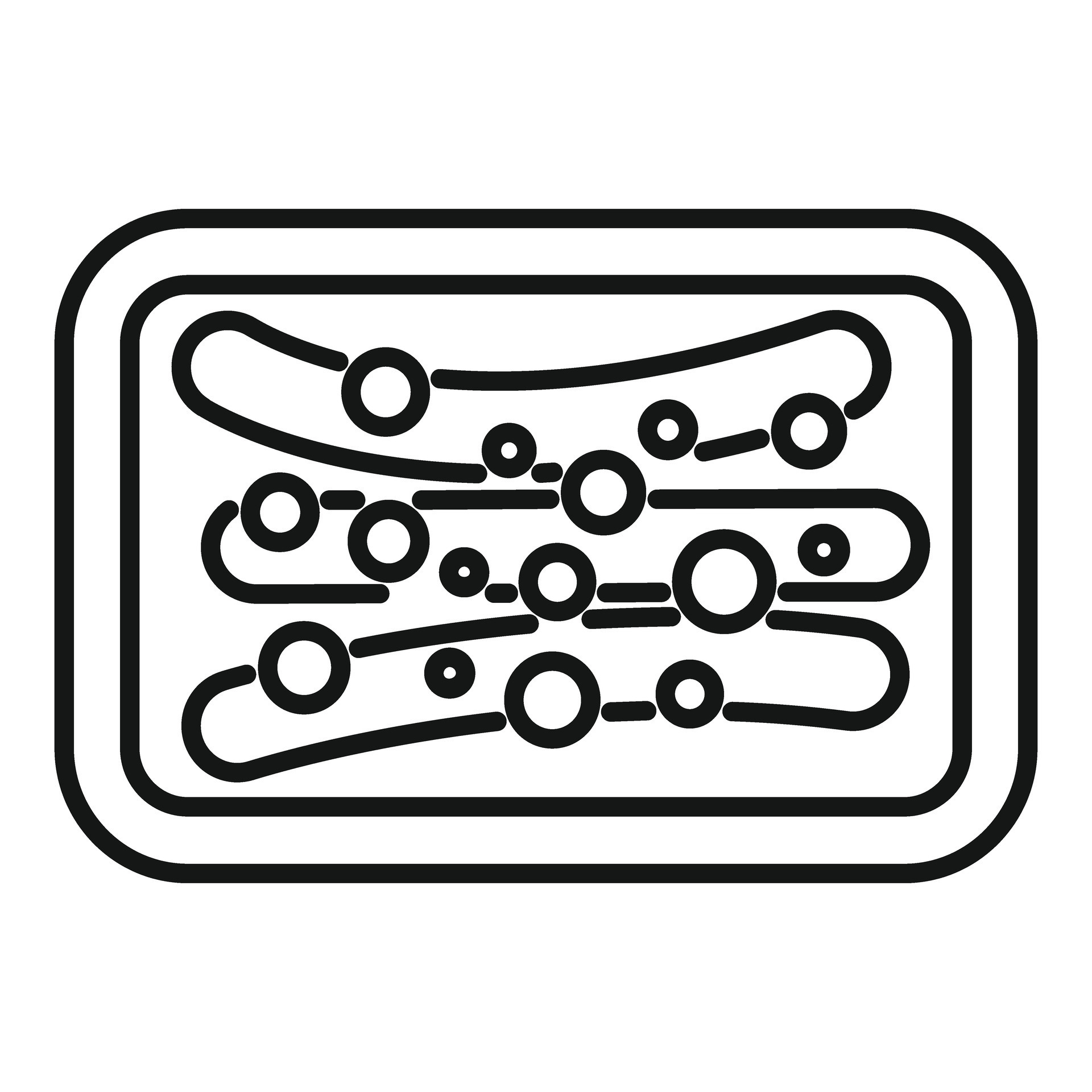 Is The Golgi Apparatus Only In Eukaryotic Cells? Find Out Now! - rjdz34n