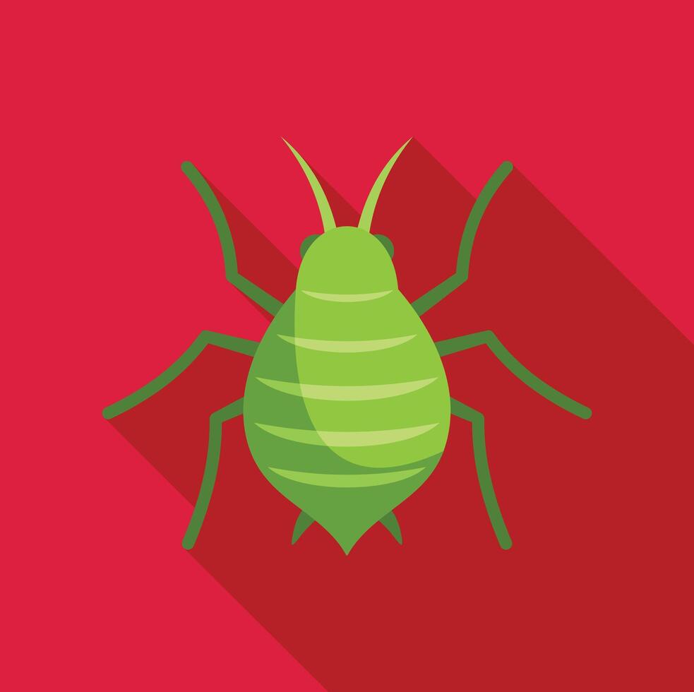 Green aphid insect spreading its legs on red background vector