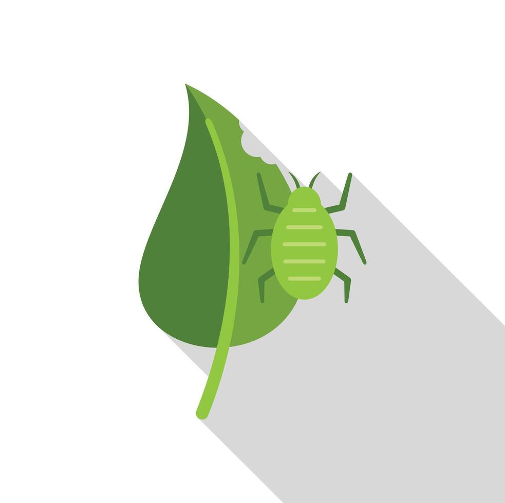 Green aphid sitting on a green leaf with bite marks icon vector