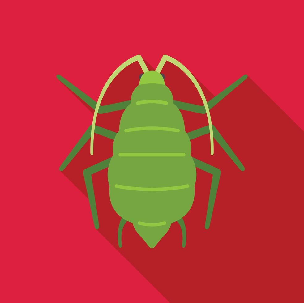 Green aphid insect spreading its legs on red background vector