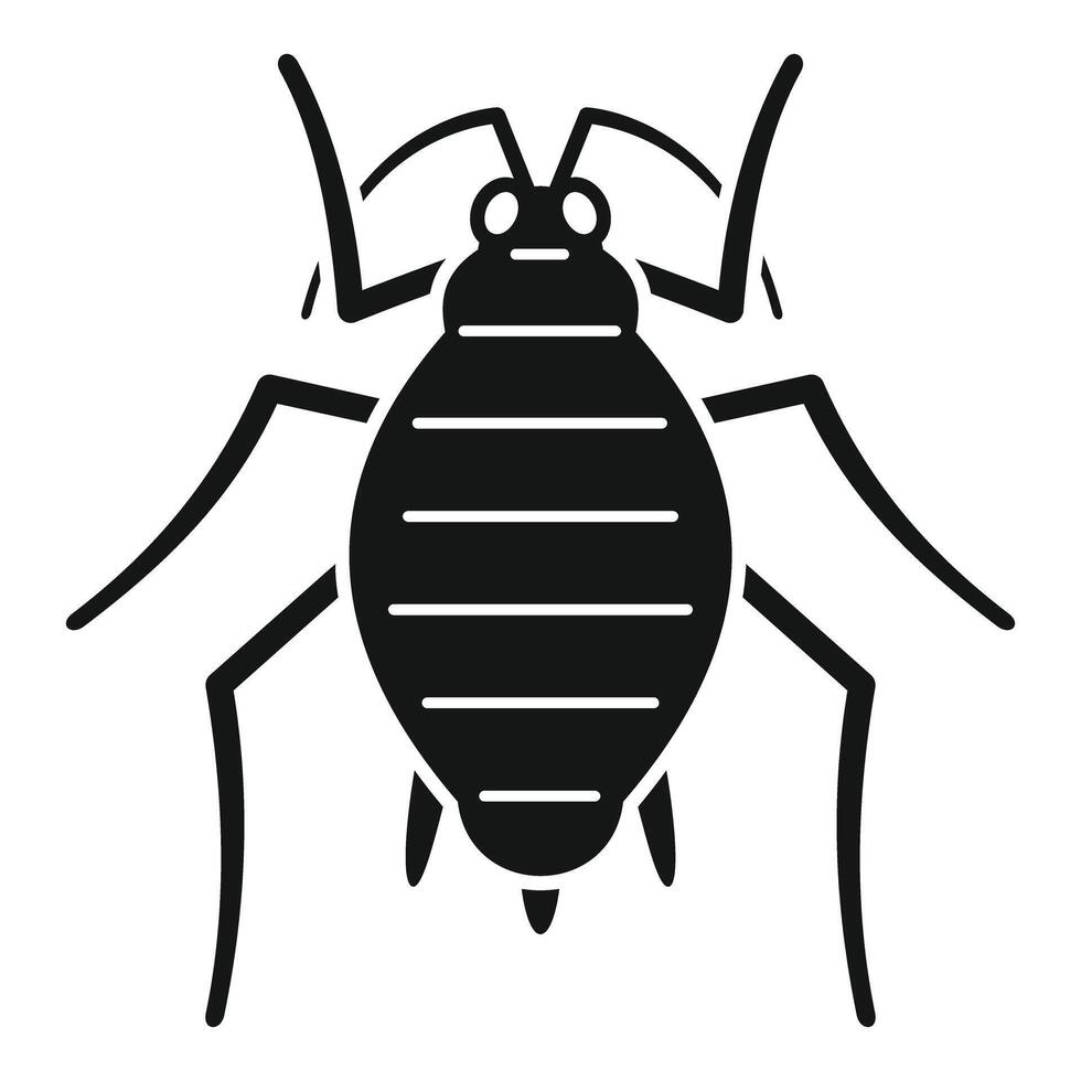 Bedbug insect crawling showing antennae and body vector