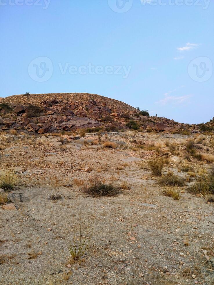 a desert area with rocks and bushes photo