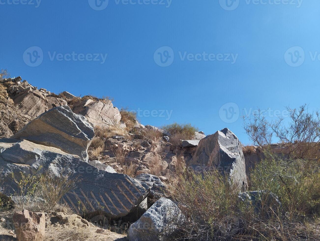 large rocks and bushes in the desert photo