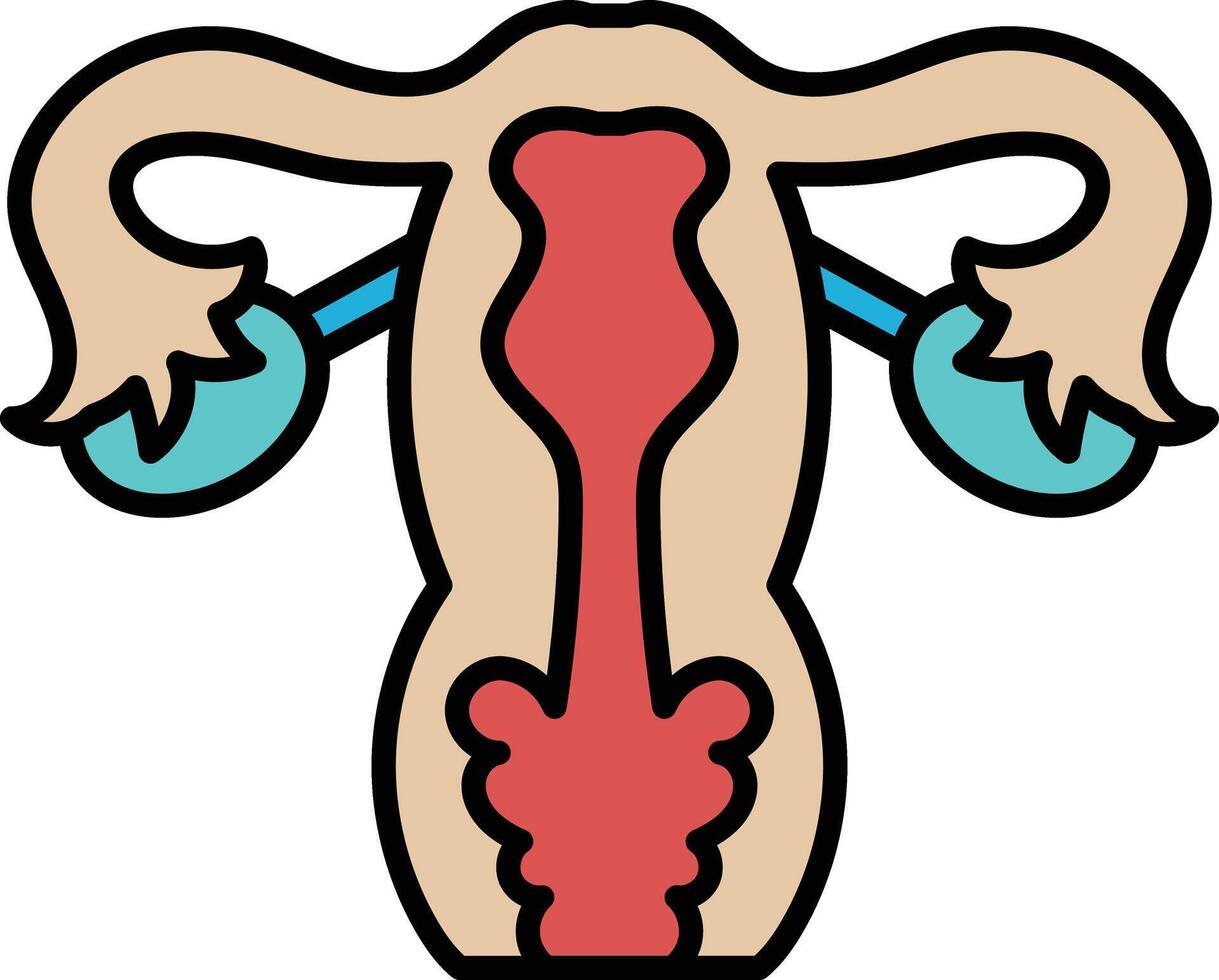 The image is a cartoon of a woman's reproductive system vector