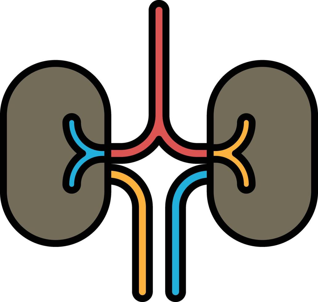 A drawing of a pair of kidneys with red, blue and yellow lines vector