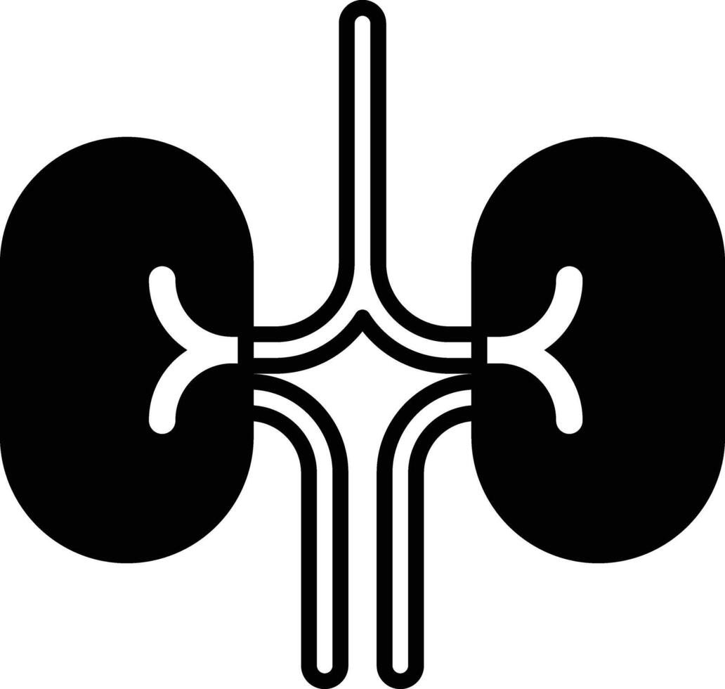 A drawing of a pair of kidneys with black and white lines vector
